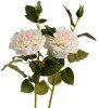 White Garden Rose Spray