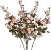 Pink Wild Meadow Rose