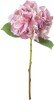Shabby Pink Single Hydrangea